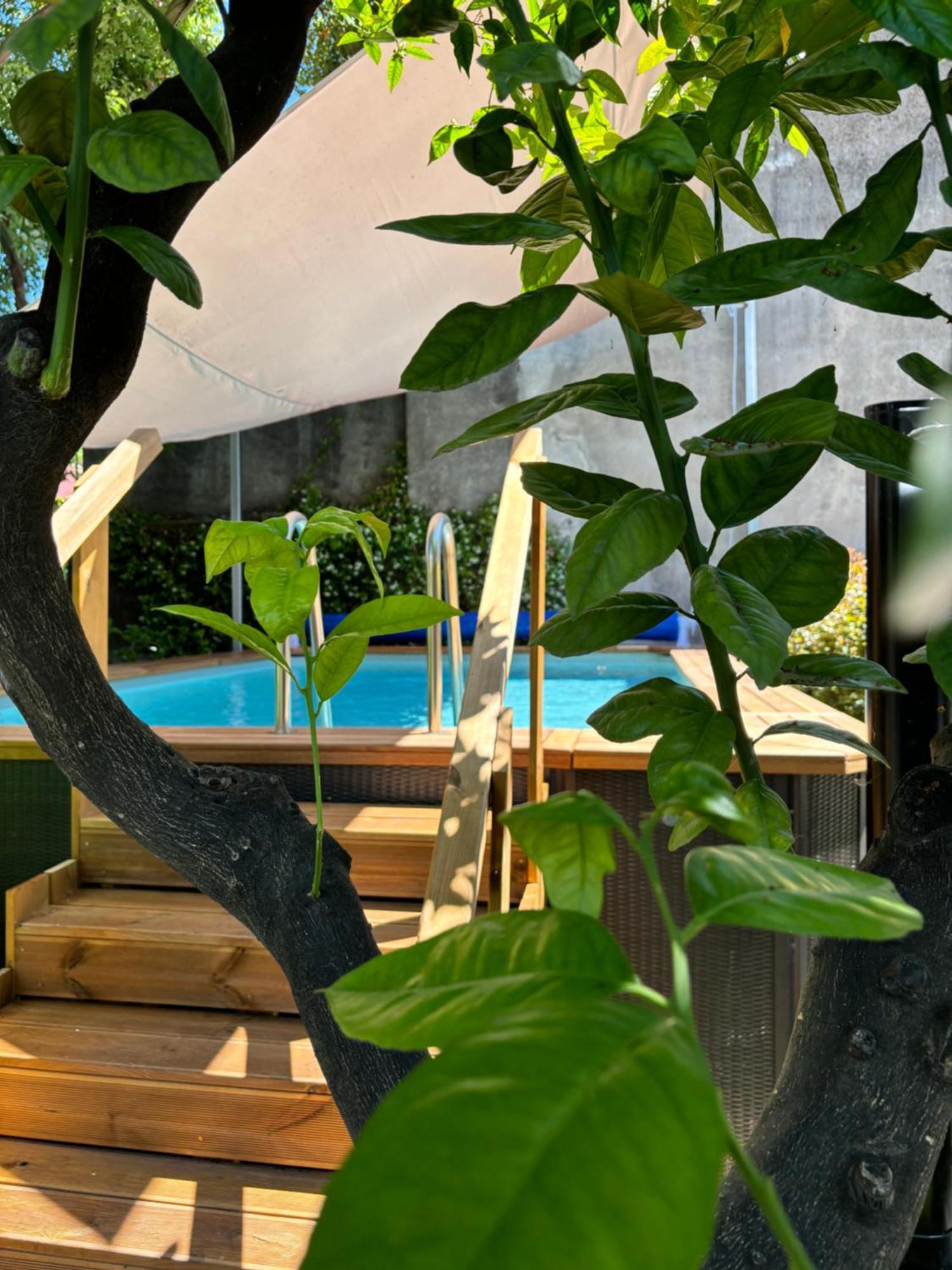 Delightful Relaxing With Heated Pool Near Catania, Taormina, The Sea And Mount Etna * Giarre
